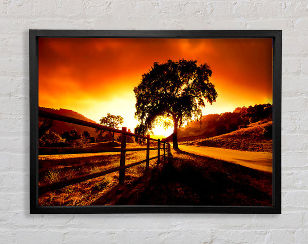 On The Road To Dawn Framed Print