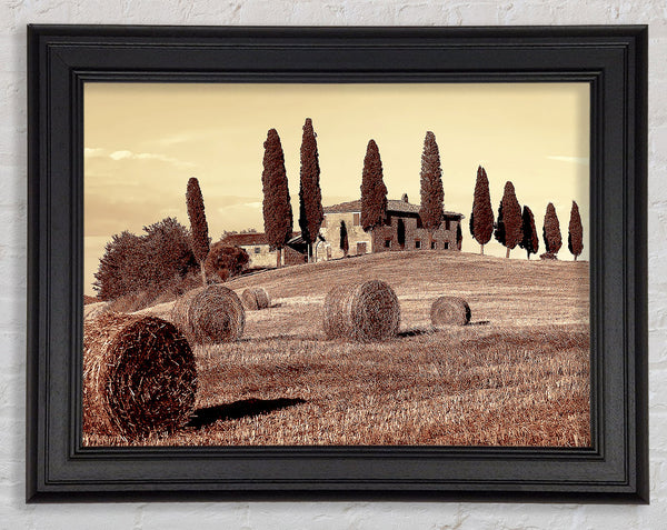 French Countryside Framed Print