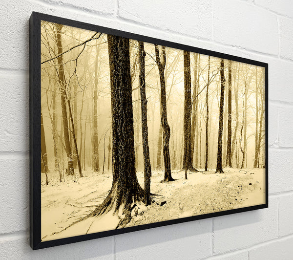 Winter Woodland Snow