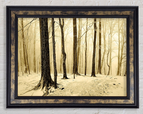 Winter Woodland Snow Framed Print