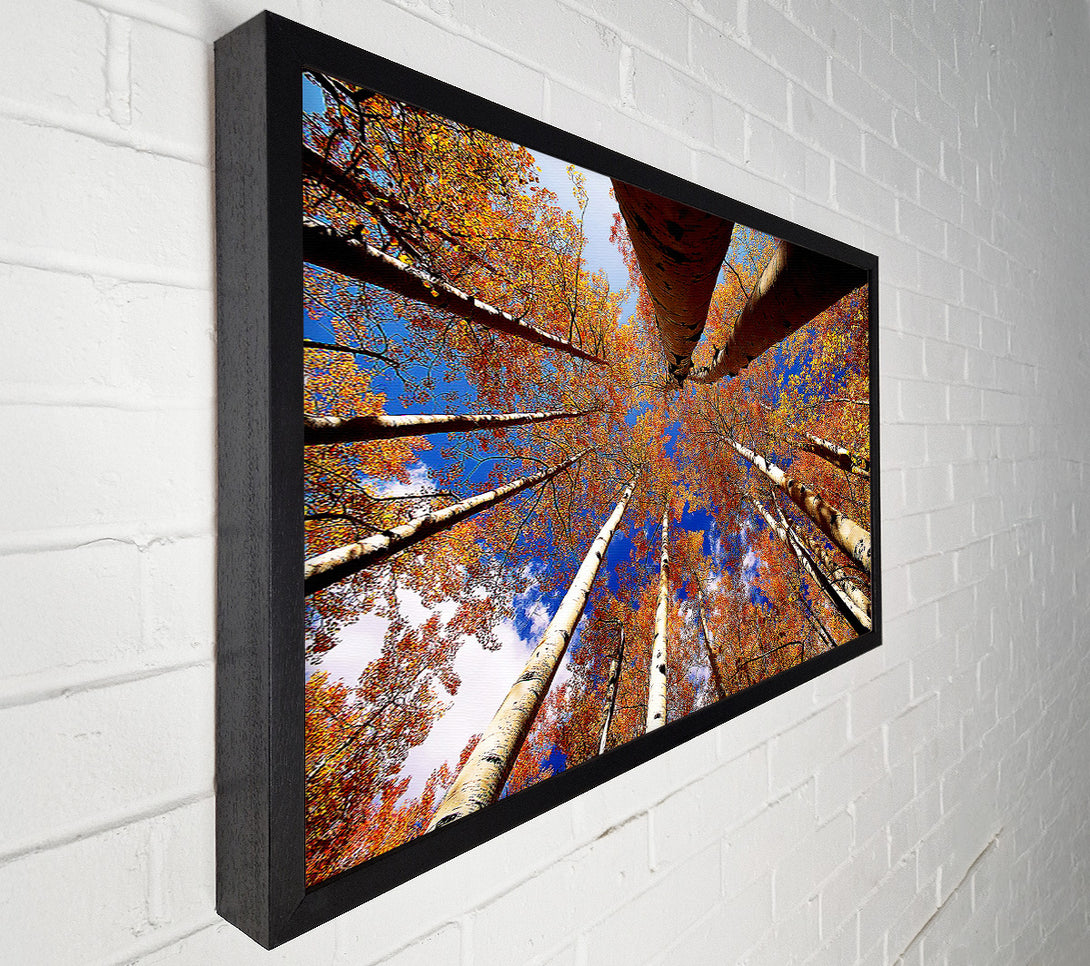  A Canvas Print of Above The Trees Canvas Wall Art