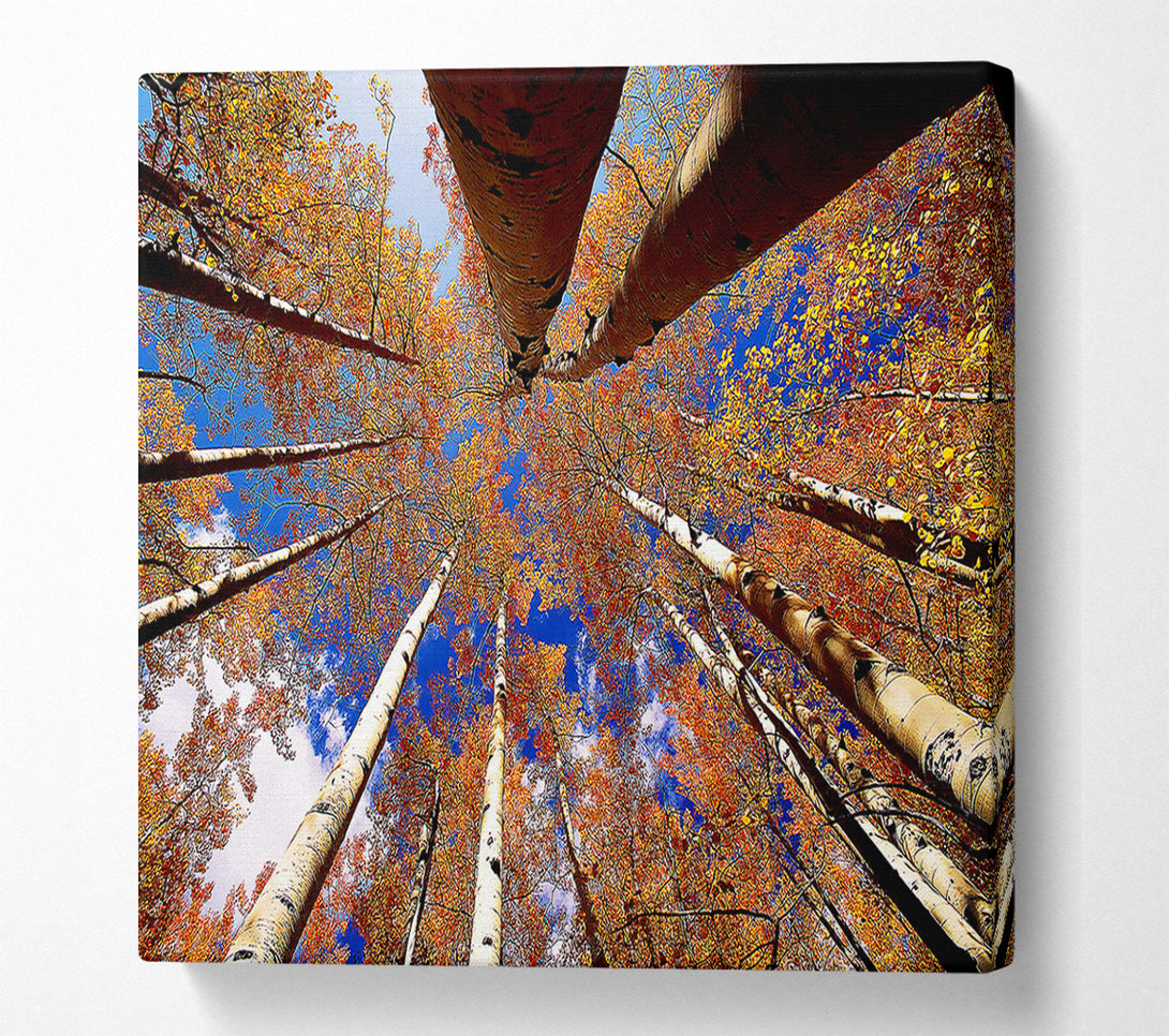  A Canvas Print of Above The Trees Canvas Wall Art