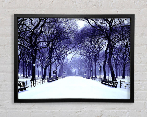 Winter Park Blue Framed Print