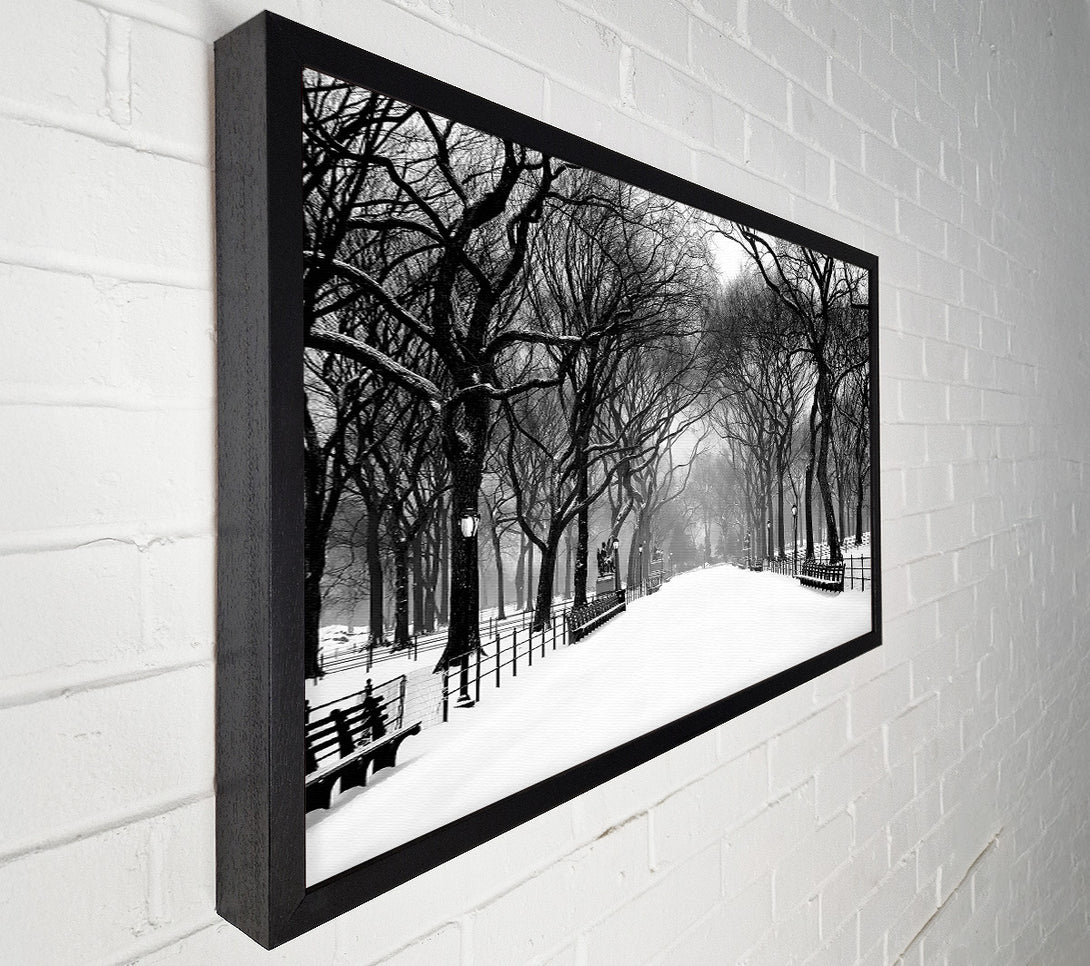  A Canvas Print of Winter Park B n W Canvas Wall Art