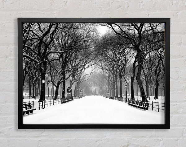 Winter Park B n W Framed Print