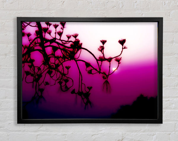 Pink Haze Framed Print