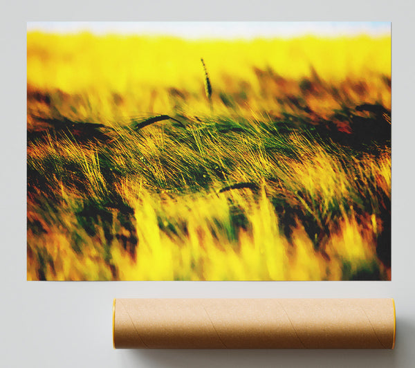 Wheatfield Yellow Giclee Print
