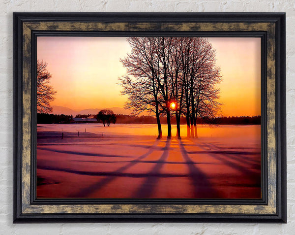 Winter Tree Sunrise Pinks Framed Print