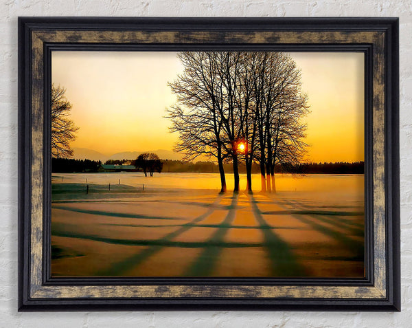 Winter Tree Sunrise Golden Framed Print