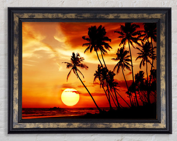 Palm Tree Paradise At Sunset Framed Print