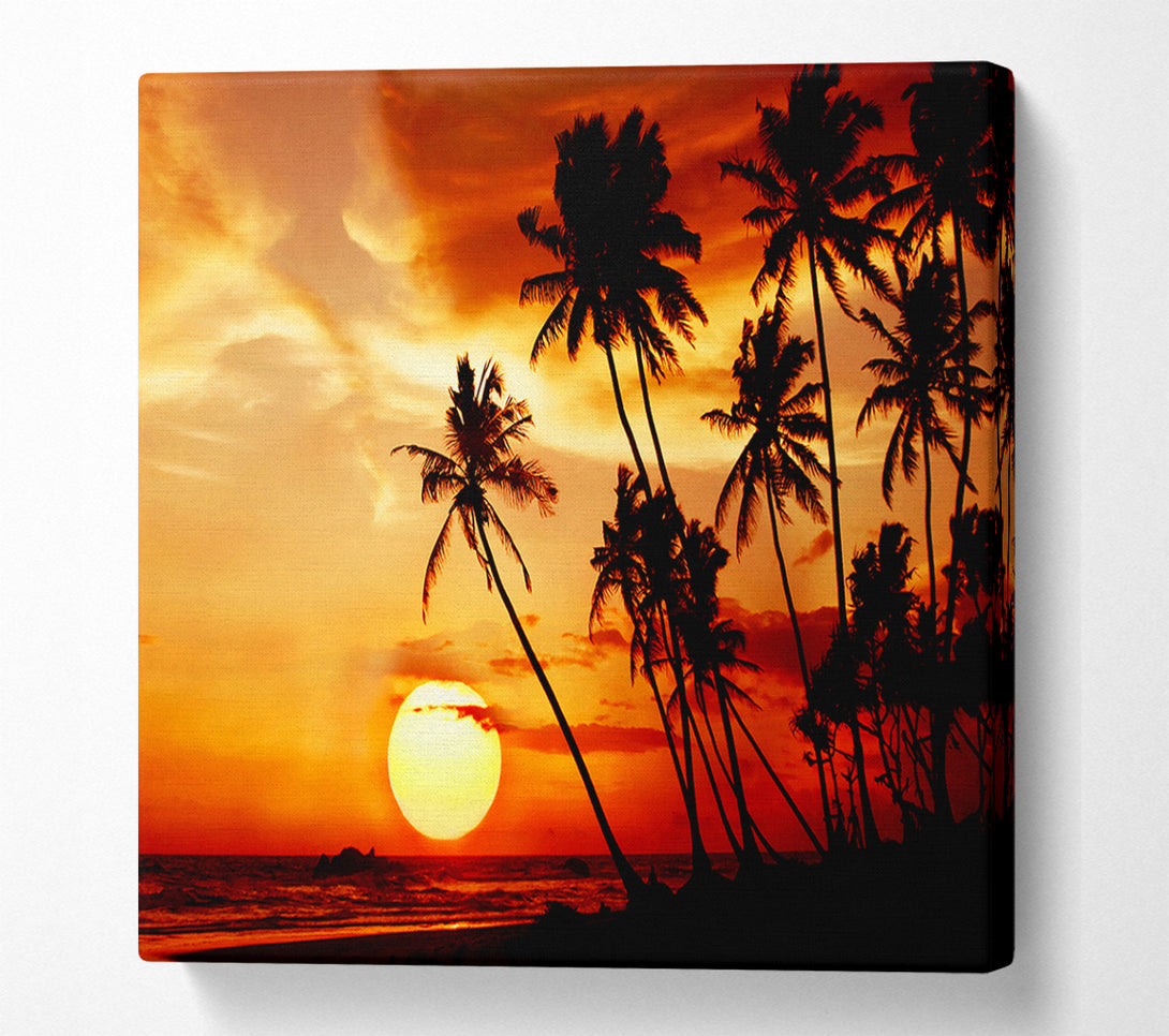  A Canvas Print of Palm Tree Paradise At Sunset Canvas Art