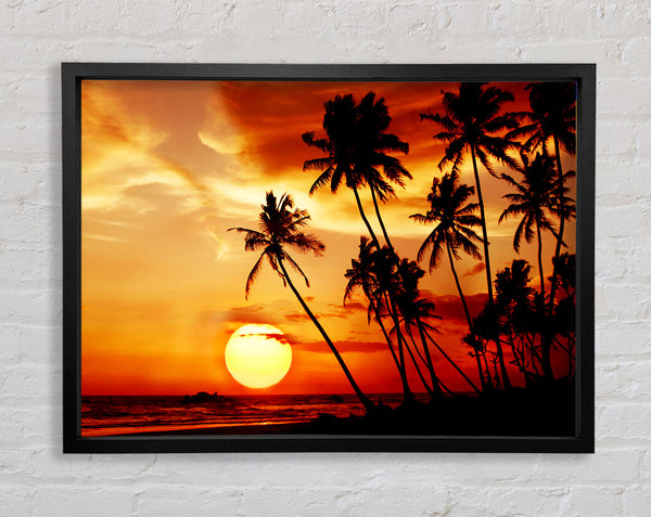 Palm Tree Paradise At Sunset Framed Print
