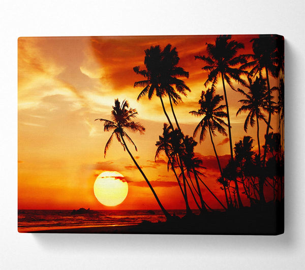  A Canvas Print of Palm Tree Paradise At Sunset Canvas Art