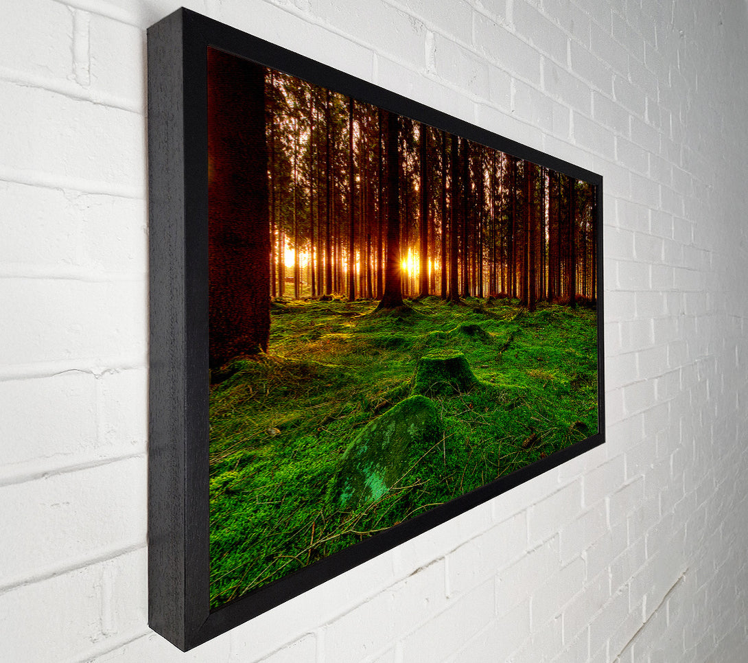  A Canvas Print of Beyond The Trees Canvas Art