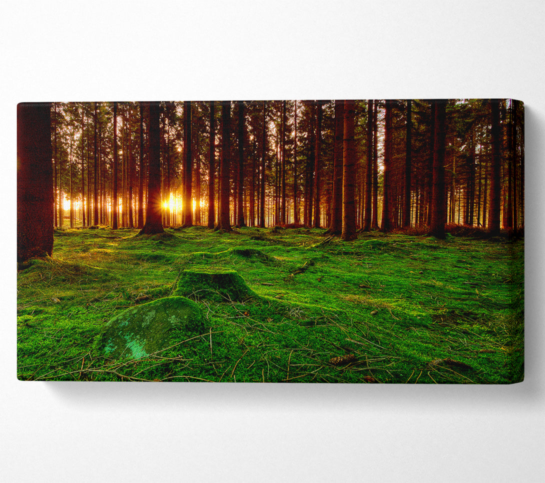  A Canvas Print of Beyond The Trees Canvas Art