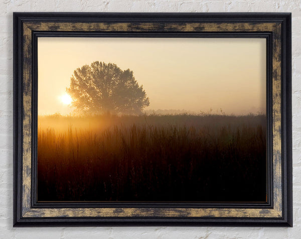 Yorkshire Dales Sunset Mist Framed Print