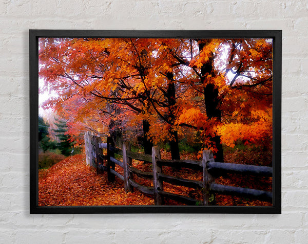 Orange Autumn Leaves Framed Print