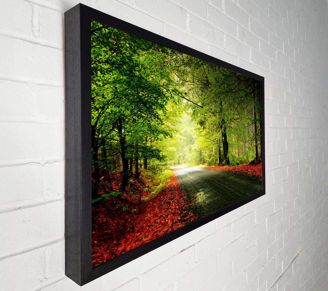  A Canvas Print of The Woodland Road Canvas Art