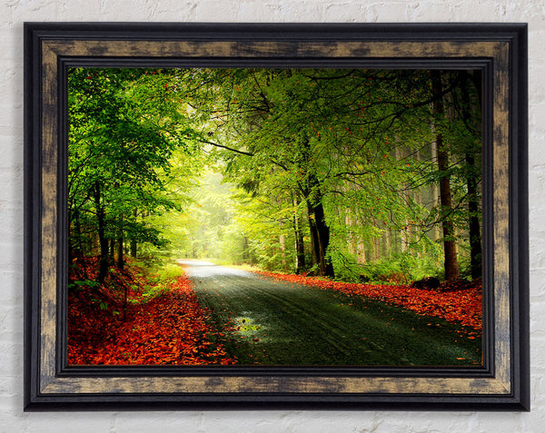 The Woodland Road Framed Print
