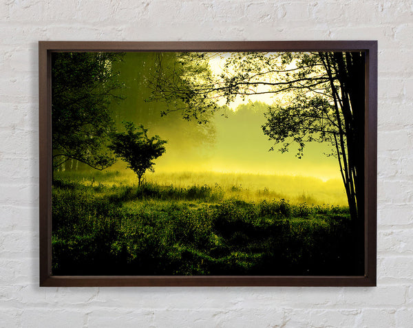 Countryside Mist Framed Print