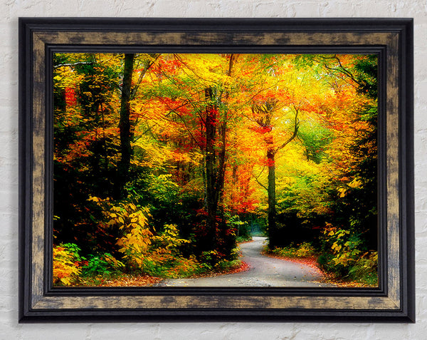 Autumn Road Framed Print