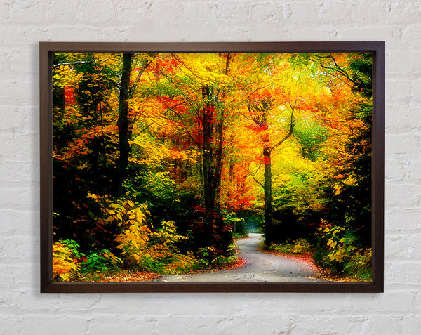 Autumn Road Framed Print