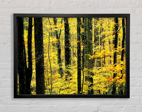 Yellow Woodland Framed Print