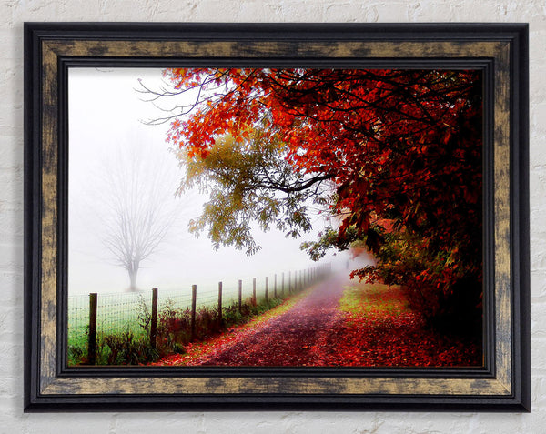 The Winter Path Framed Print