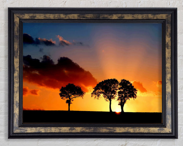 Morning Sunrise Peaking Through The Trees Framed Print