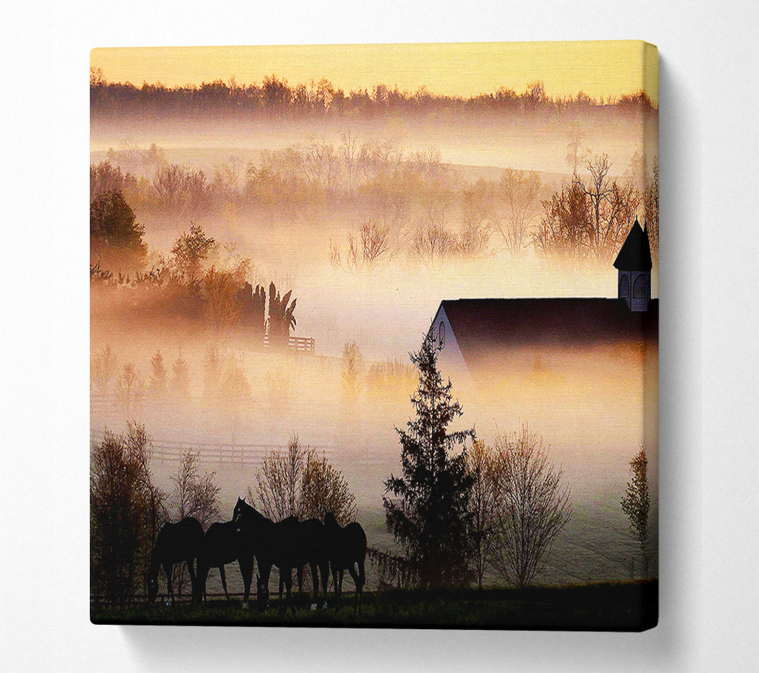  A Canvas Print of Horses In The Morning Mist Canvas Print