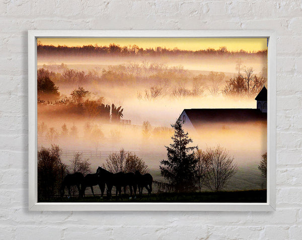Horses In The Morning Mist Framed Print