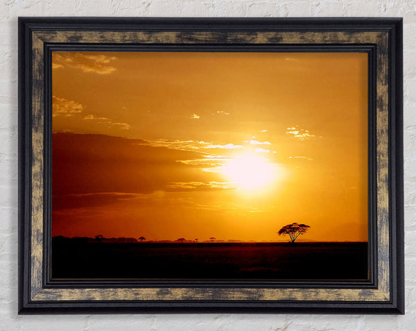 Golden Sunrise Framed Print