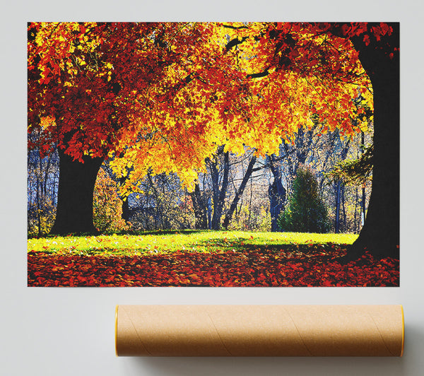 The Golden Autumn Tree Giclee Print