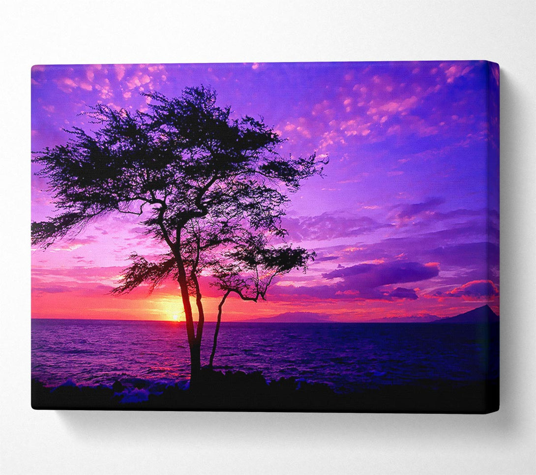  A Canvas Print of Red Ocean Tree Canvas Print