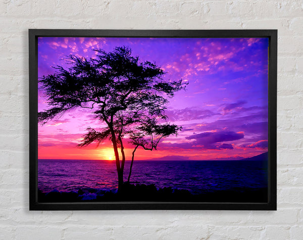 Red Ocean Tree Framed Print