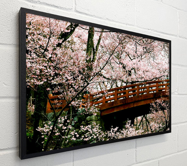 Cherry Blossom Bridge