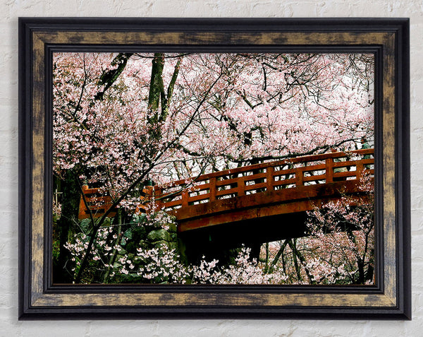 Cherry Blossom Bridge Framed Print