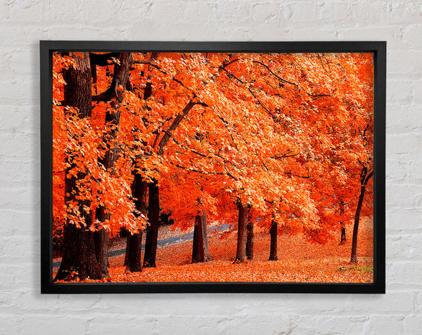 Orange Tree Parade Framed Print