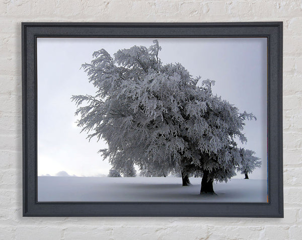 In The Dead Of Winter Framed Print