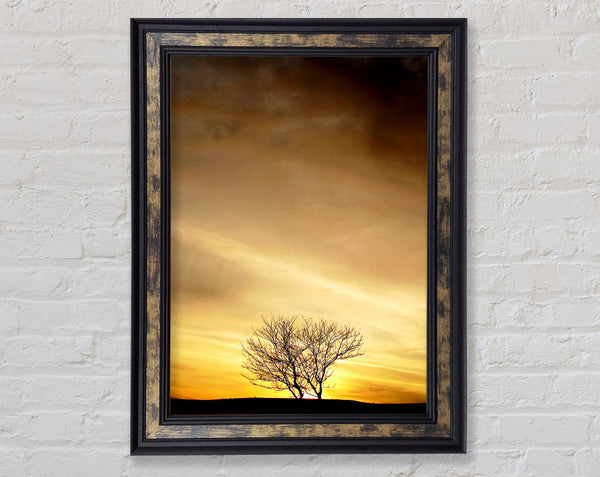 The Lonely Tree At Dusk Framed Print