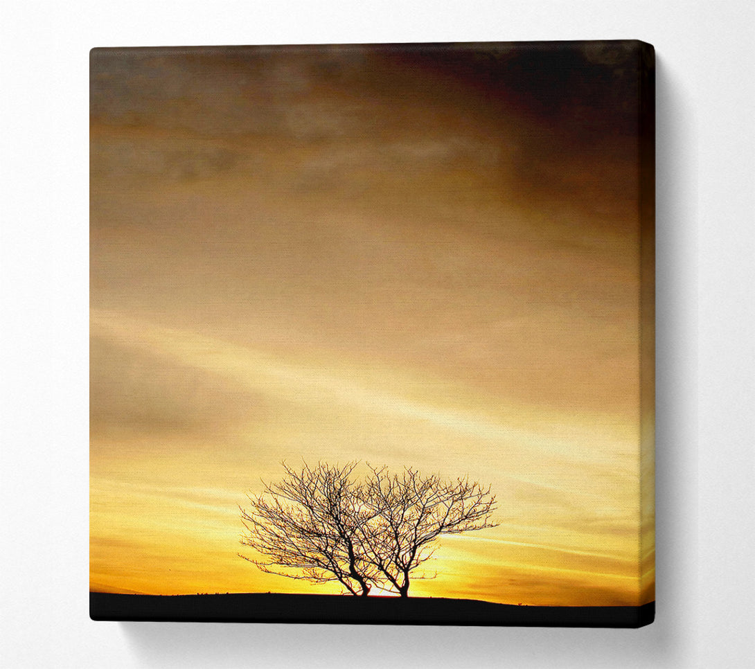  A Canvas Print of The Lonely Tree At Dusk Canvas Print