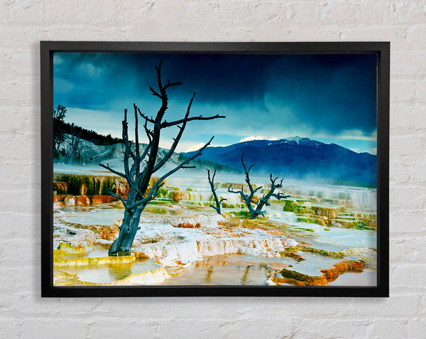 Snow Desert Trees Framed Print