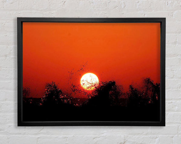 Red Sun Delight Framed Print