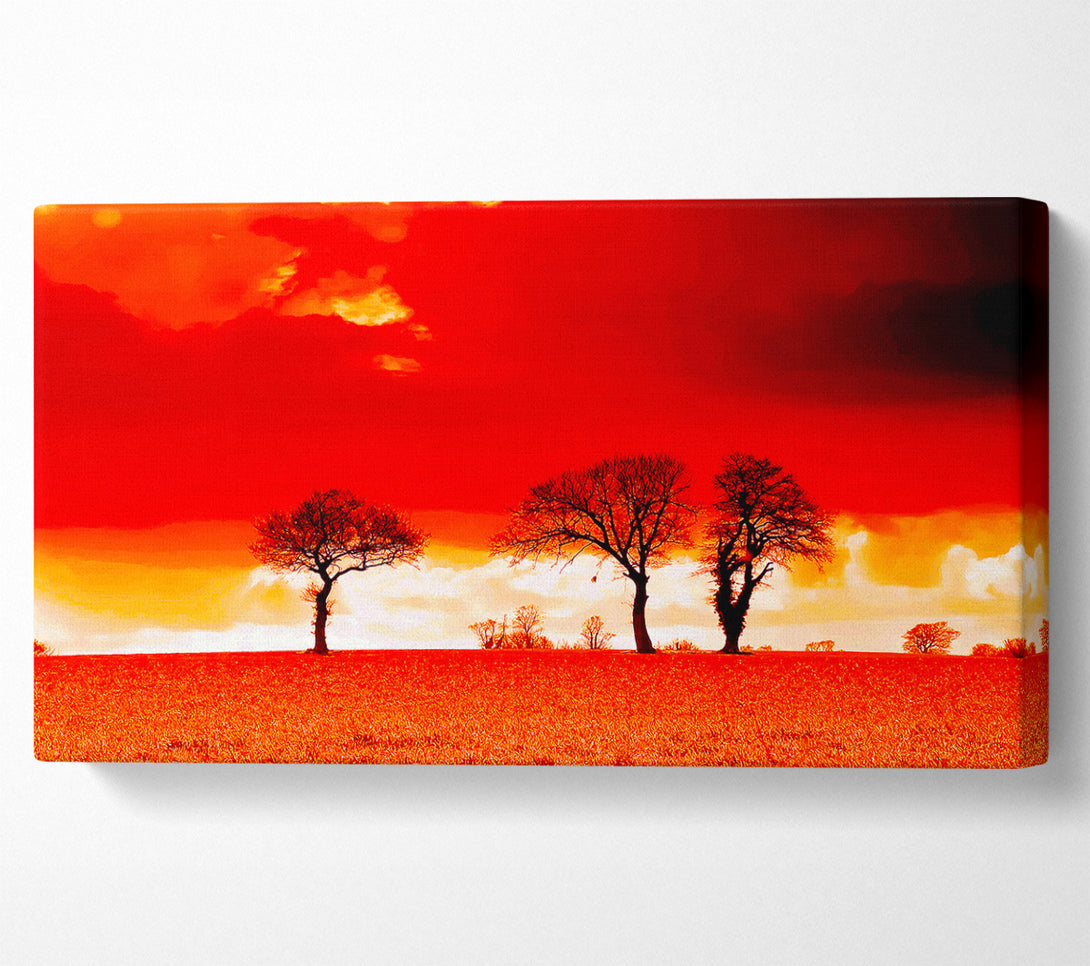  A Canvas Print of Red Sky Blaze Canvas Art