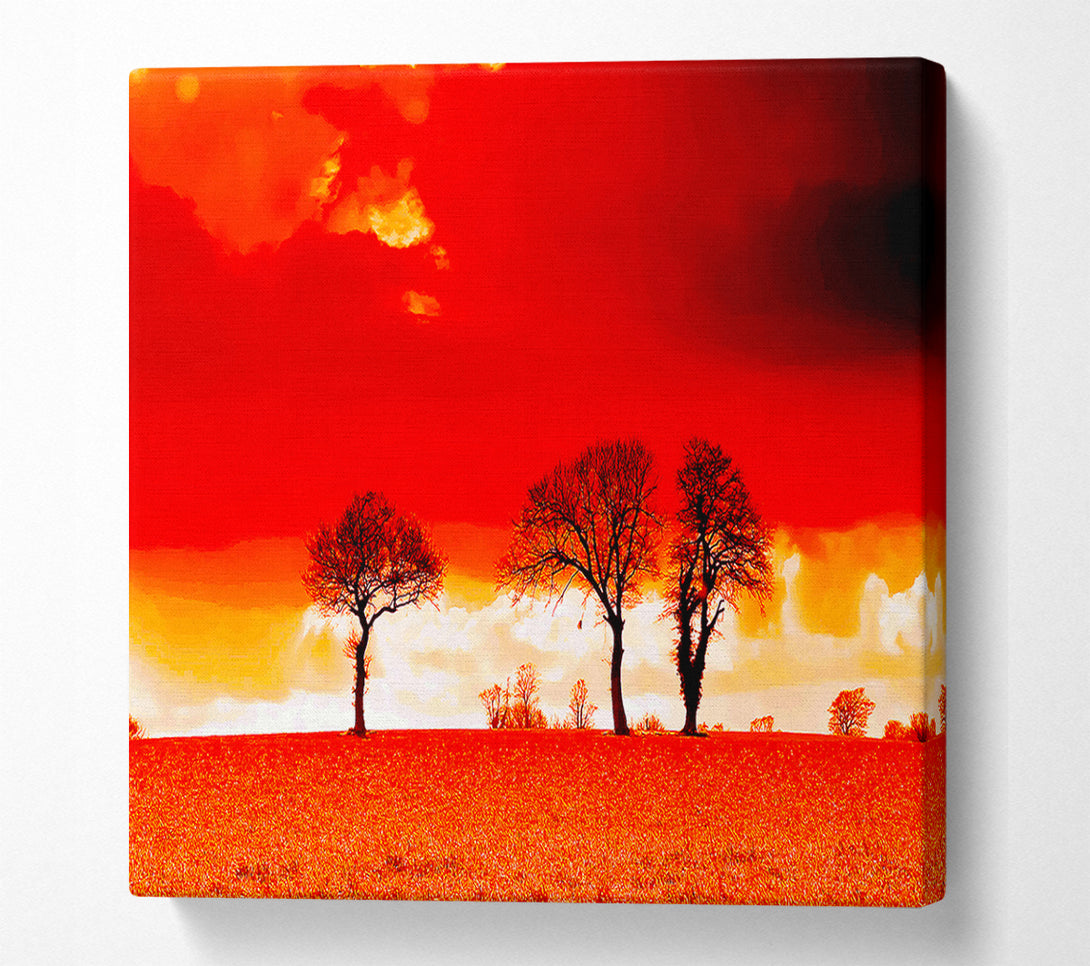  A Canvas Print of Red Sky Blaze Canvas Art