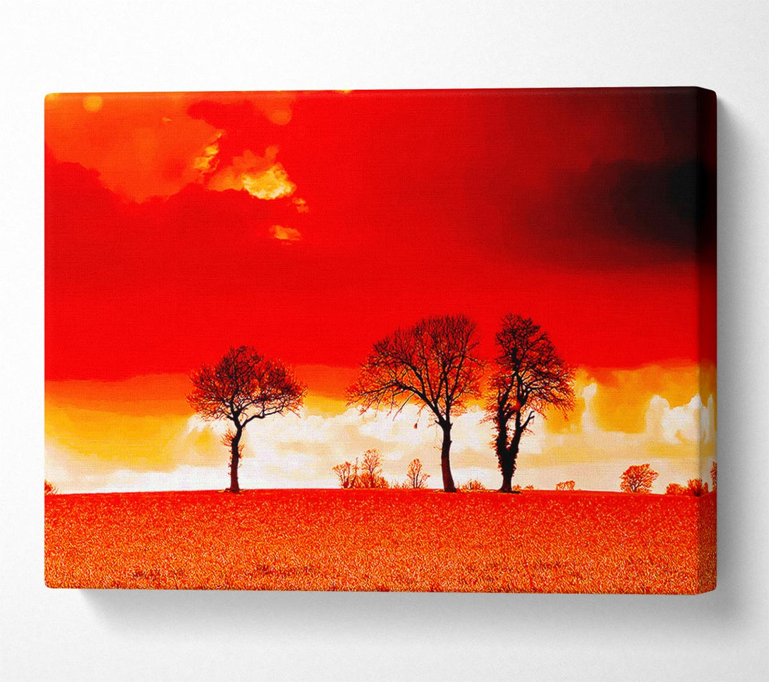  A Canvas Print of Red Sky Blaze Canvas Art