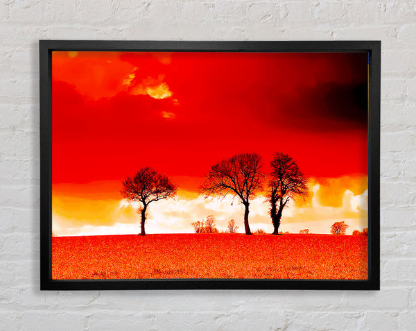 Red Sky Blaze Framed Print