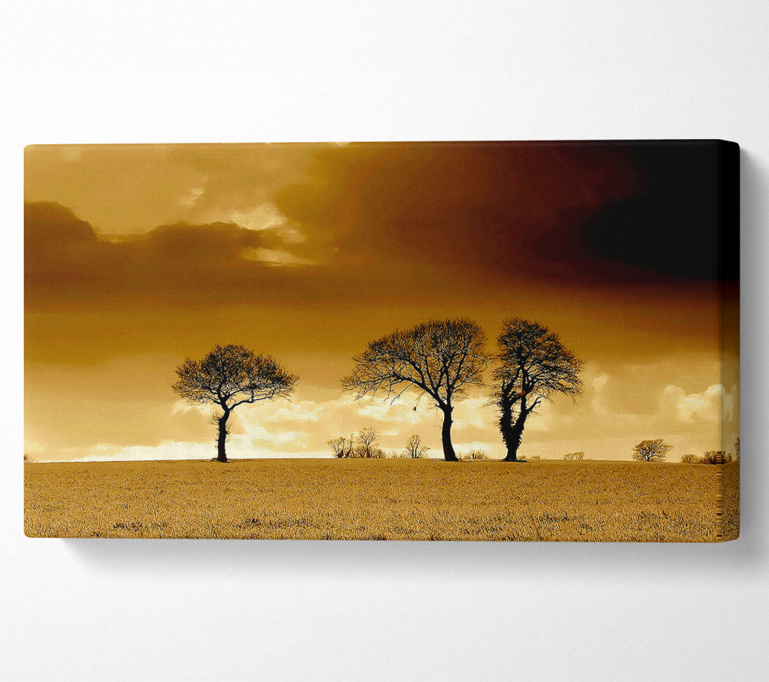  A Canvas Print of Chocolate Treeline Clouds Canvas Print