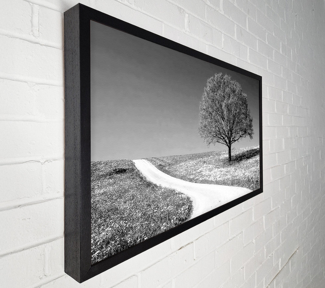  A Canvas Print of Summers Day B n W Canvas Print