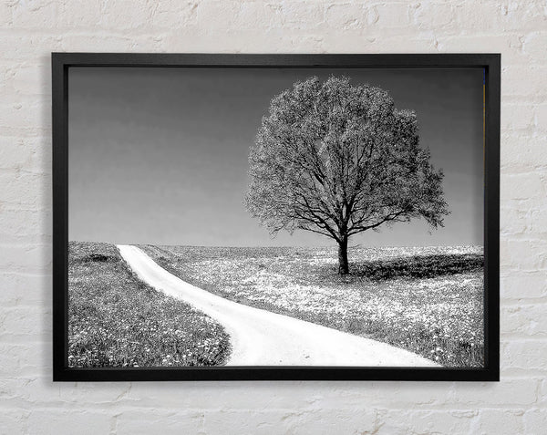Summers Day B n W Framed Print